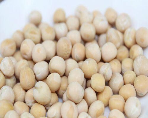 嘉种子的营养价值及食用方法（了解嘉种子，让你吃得更健康）