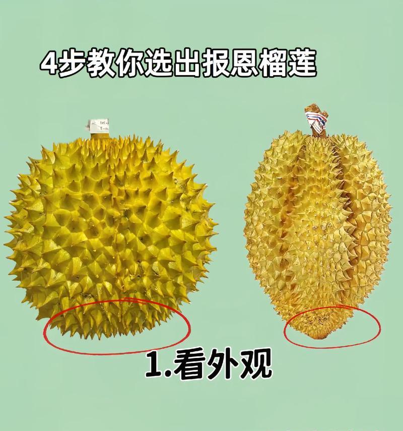 榴莲如何挑选，美味不容错过（教你如何辨别好的榴莲，让你尽情享受美味）