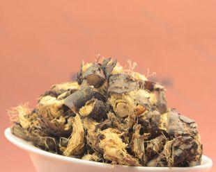 探究黄金雀的植物特性（草本还是木本？了解它的生长环境和外貌特征）
