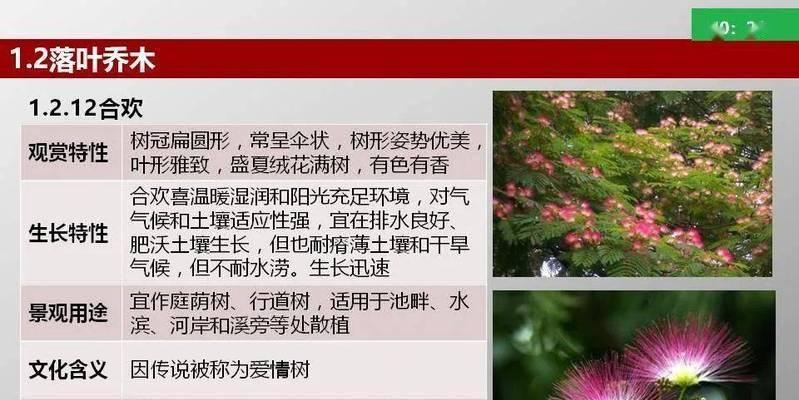 探究乔木生长的条件和特性（从光照、土壤、气候等方面分析乔木生长的要素）