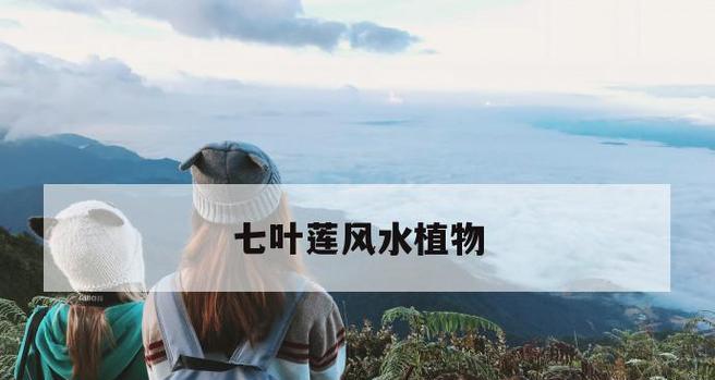 七叶莲叶子卷曲的原因与处理方法（揭秘七叶莲叶子卷曲的真相及有效处理技巧）