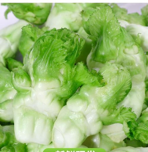 儿菜（探访儿菜，一起了解这道美味佳肴的秘密）