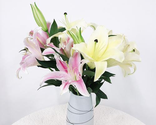 如何水养香水百合（打造芳香花园，打理家中百合）