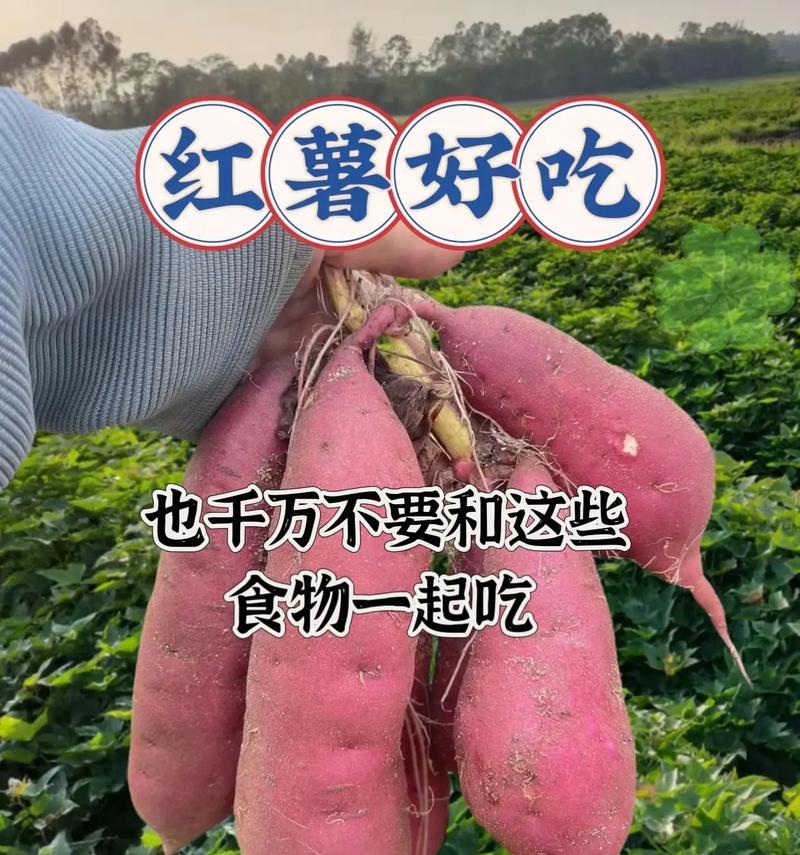 地瓜的禁忌食物（小心搭配，健康更重要）