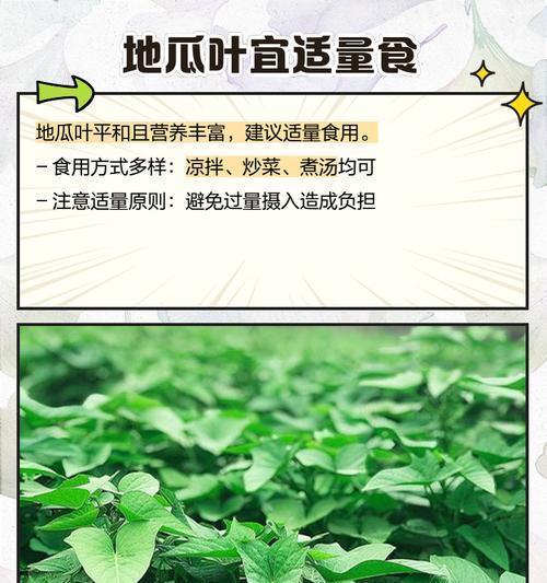 青菜，究竟是凉性还是热性食物？——探究青菜性质的真相