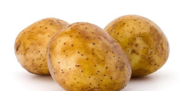 土豆到底是不是粮食作物？（从分类、生长特点、营养价值、用途等角度探究土豆的身份）