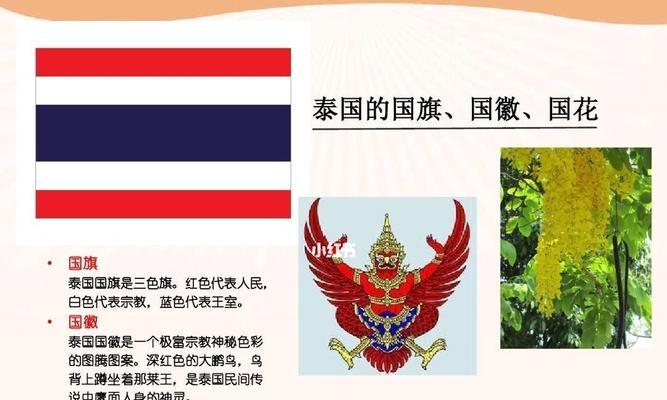金链花，泰国的国花（神秘花卉中的珍品，颂扬泰国文化精髓）