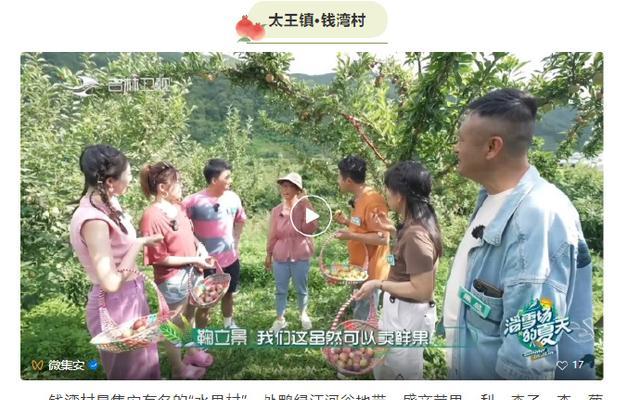 板栗叶子发黄的原因和处理方法（如何识别板栗叶子发黄的原因以及正确的解决方式）