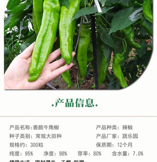 辣椒种子发芽出苗时间及方法（从种子到苗期需要多长时间？如何促进种子发芽？）