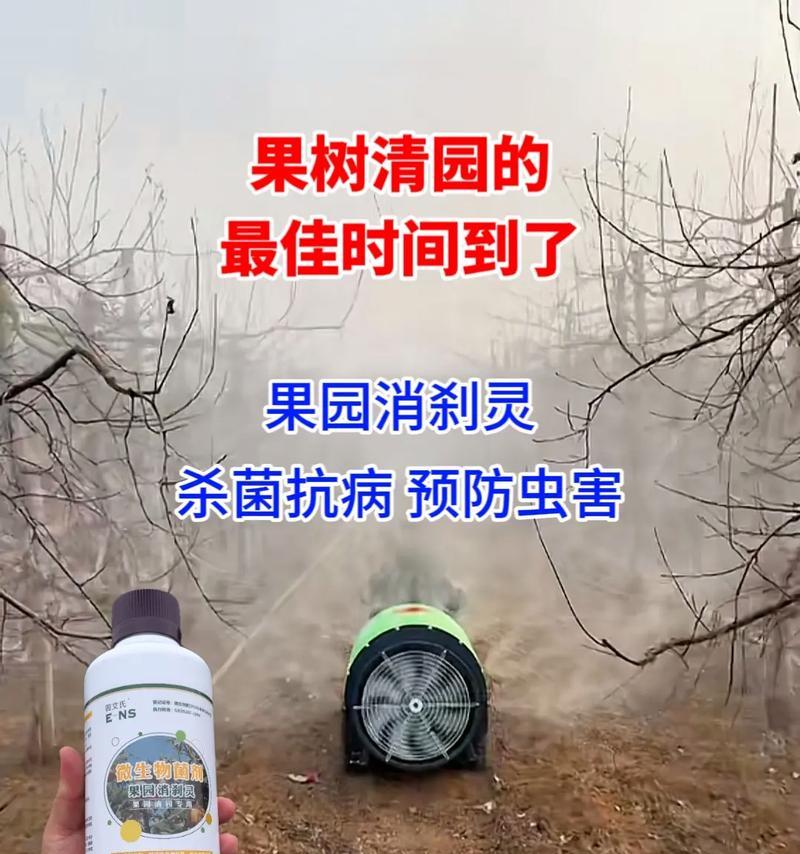 核桃树病虫害防治技术与方法措施（以提高产量和质量为目标）
