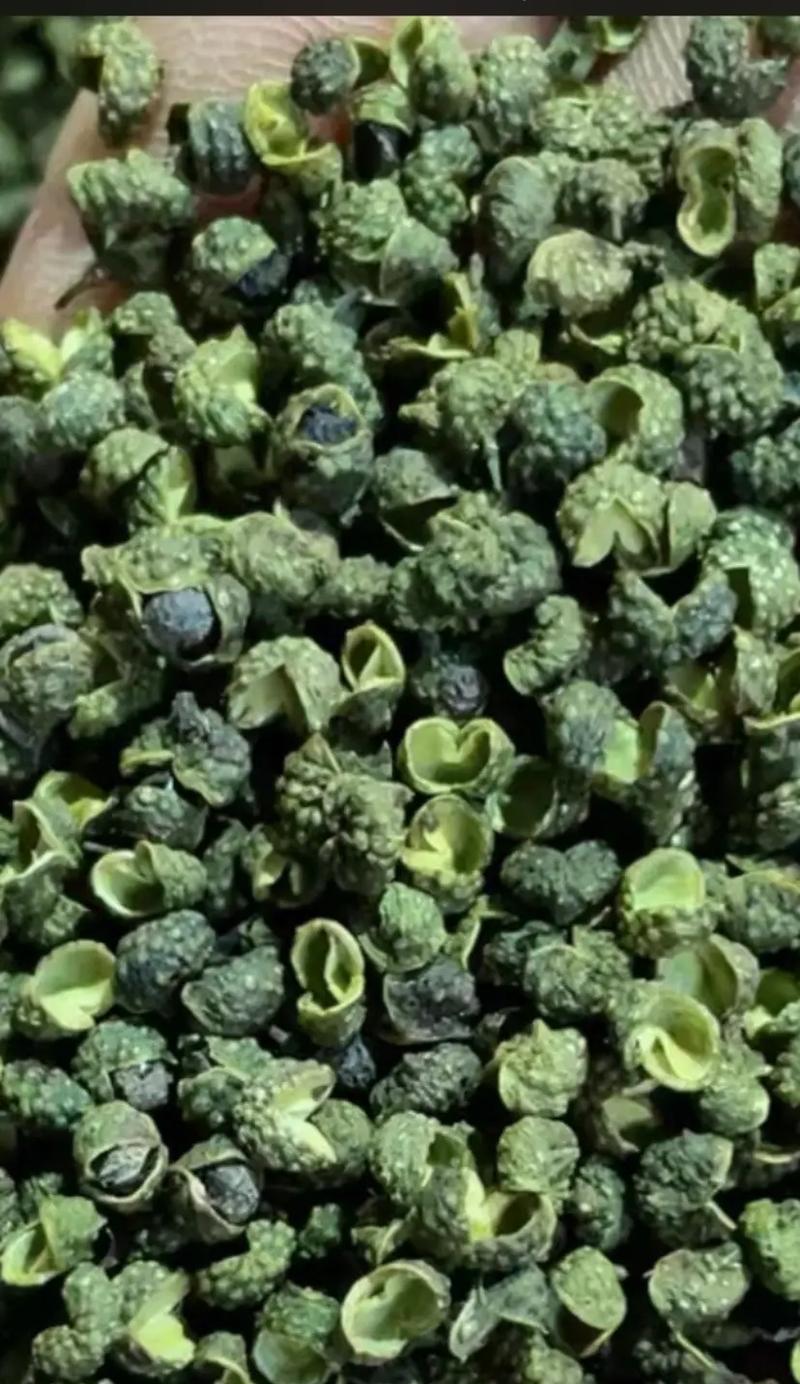 花椒属于什么作物？——从分类、产地到药用全解析（了解花椒的起源和分类）