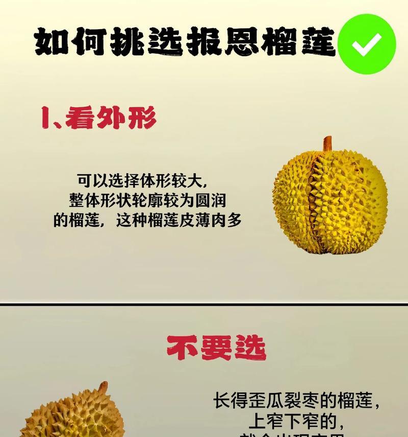 湖南可种榴莲吗？——探寻南方水果种植的新机遇（探寻湖南地区种植榴莲的可行性和前景）