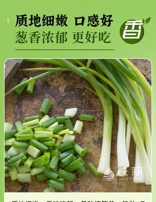 如何种植葱种子（详细介绍葱种子的种植方法和注意事项）