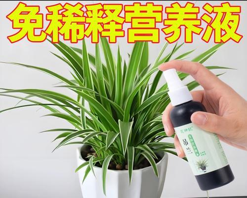 金鱼吊兰水培还是土培更好？（对比金鱼吊兰水培和土培的优缺点）