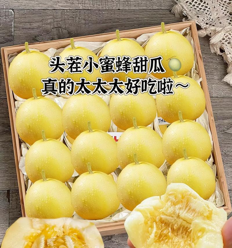 湖南土地适宜种植哈密瓜，丰收不止（探寻湖南种植哈密瓜的条件与技巧）