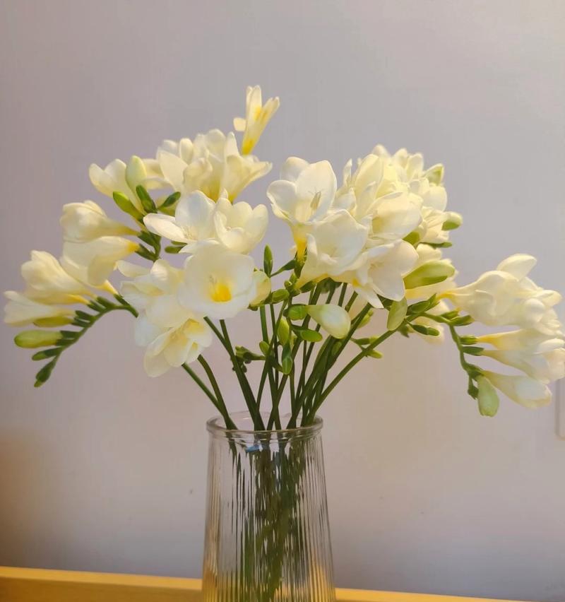 冬青如何醒花（醒花方法与步骤，有效促进开花）