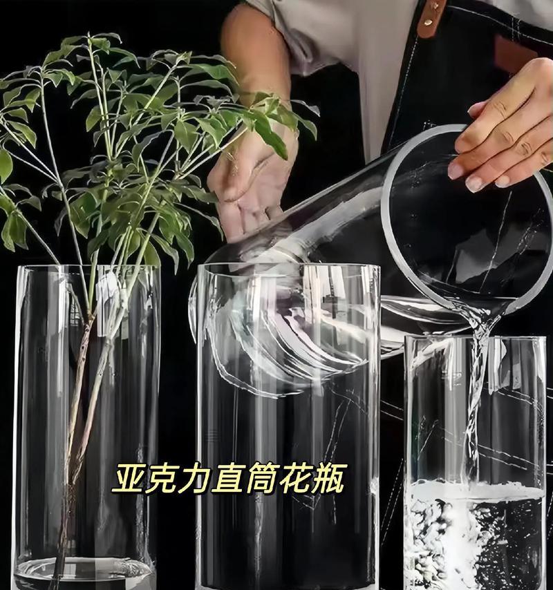 如何醒花冬青？（醒花方法与步骤详解，让你的冬青开满花海！）