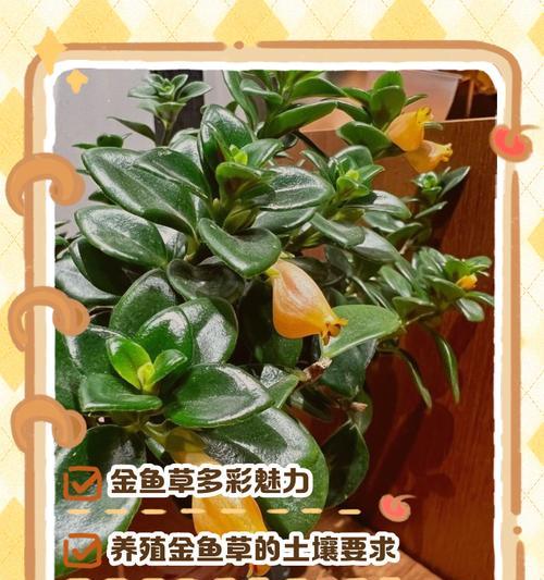金鱼草修剪指南（打造美丽的水景花园，让金鱼草更美丽）