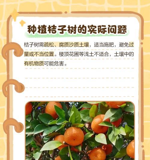 为什么桔子树不开花？（揭秘桔子树的生长规律，掌握开花技巧）