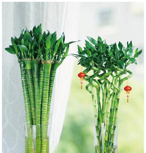 节节高修剪技巧（让你的花园更加美丽）