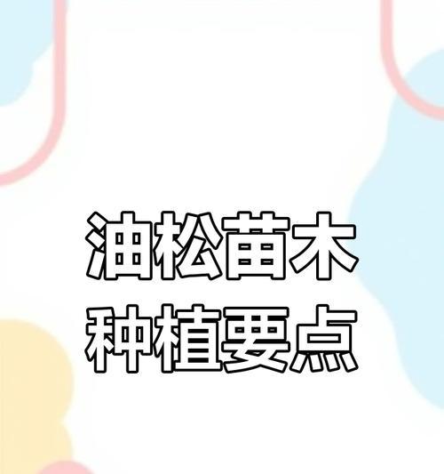 雨季油松种植全攻略（打造丰收的油松种植园，从雨季开始）