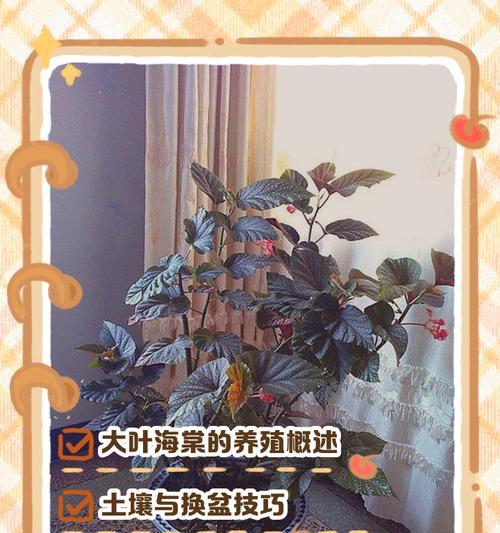 海棠叶子不长怎么办？（如何让海棠长出茂盛的叶子？）