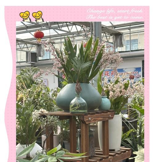 梦香兰的养殖技巧（打造花香四溢的花园）
