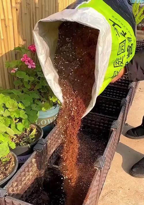 如何正确给花加土（掌握正确的方法，让花朵茁壮成长）