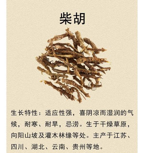 探究柴胡生长的环境条件及特点（揭秘柴胡生长的秘密——从生长环境到栽培技巧）