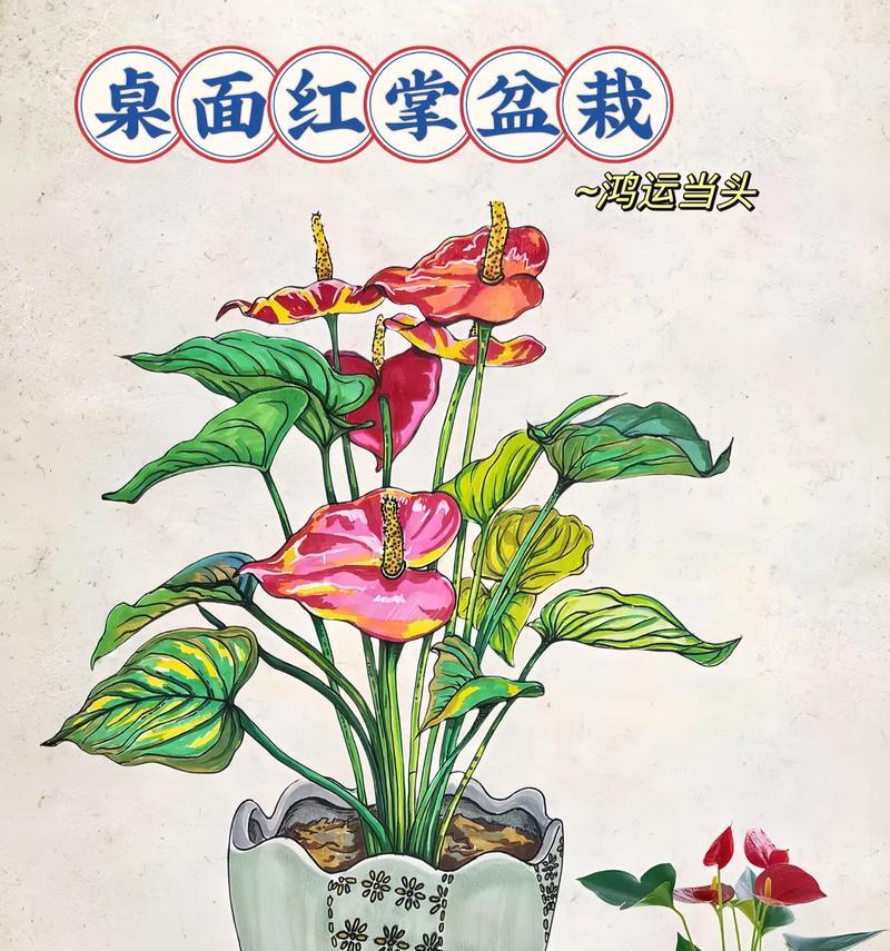 红掌花被冻伤了怎么办？（一种常见的植物冻害解决方法）