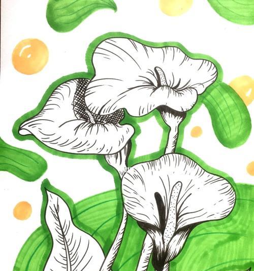 以马蹄莲怎么插？（学会正确的插花技巧，让马蹄莲绽放绚丽花海）