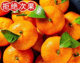 沙糖桔为什么有的有子有的无籽？（探秘沙糖桔的品种特点和生长环境）