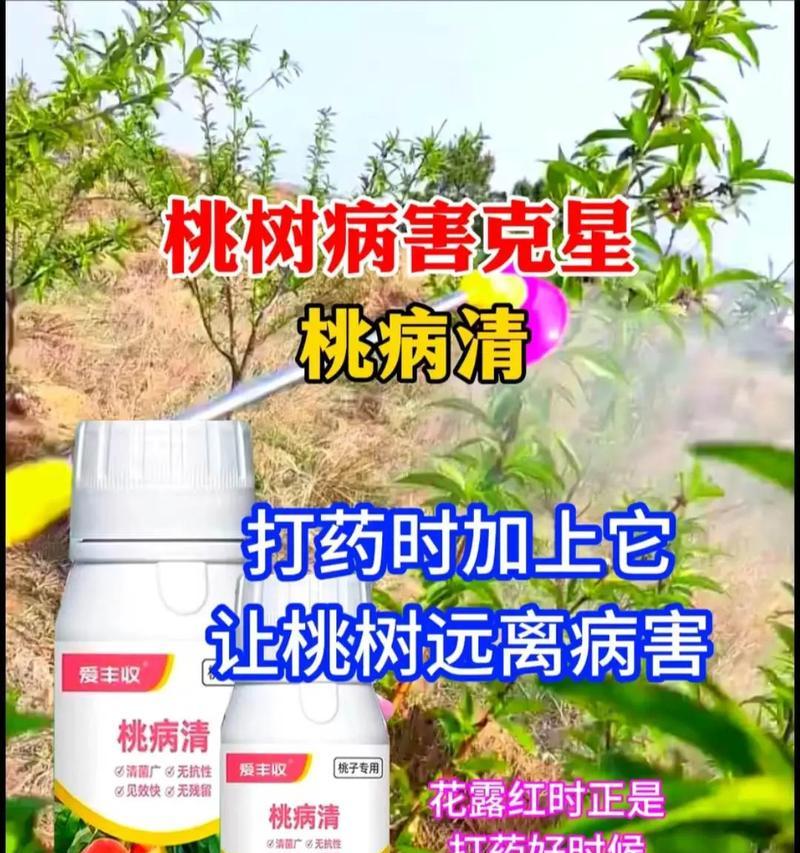 如何用药物提高核桃树的产量（从增强免疫力到促进生长，药物对于核桃树的重要性）