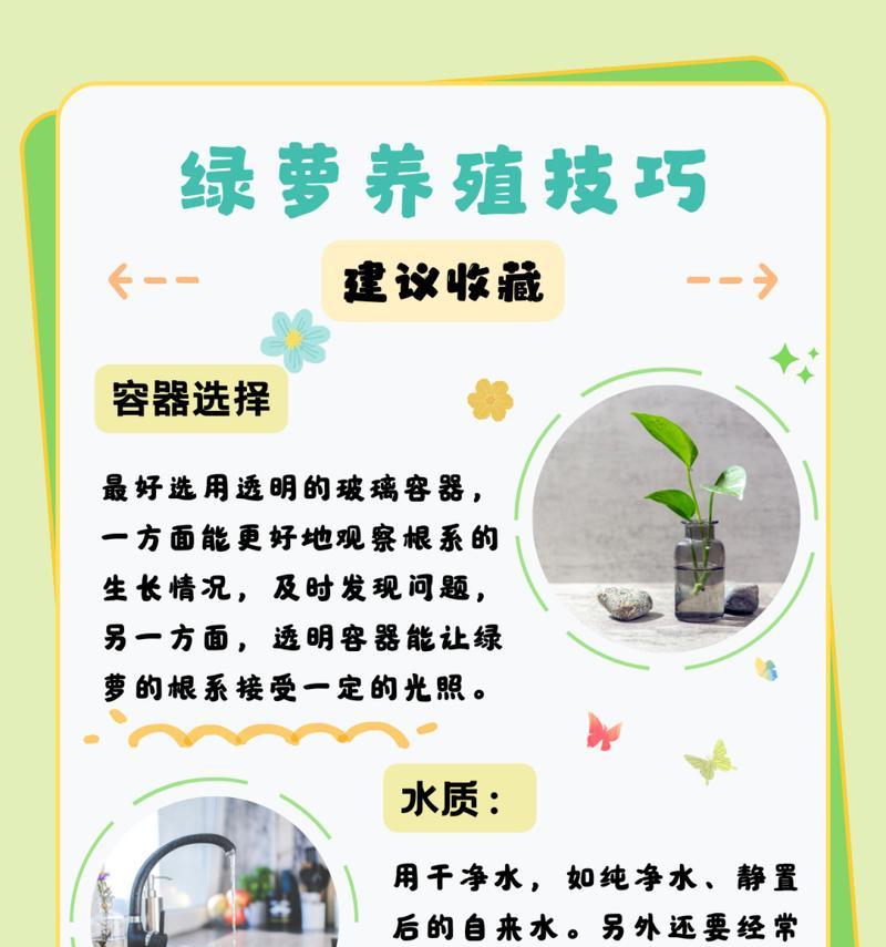水培绿萝长出根的方法（探索水培绿萝生长的奥秘，让植物生根更容易）