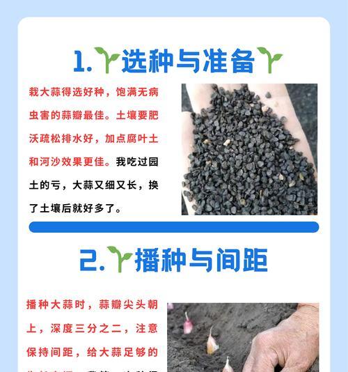 以石蒜怎么施肥（石蒜施肥的技巧和注意事项）