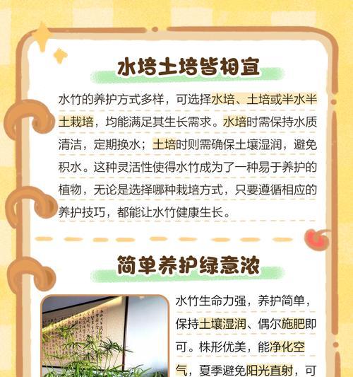 水竹的养护与栽培技巧（打造健康有根的水竹家园）