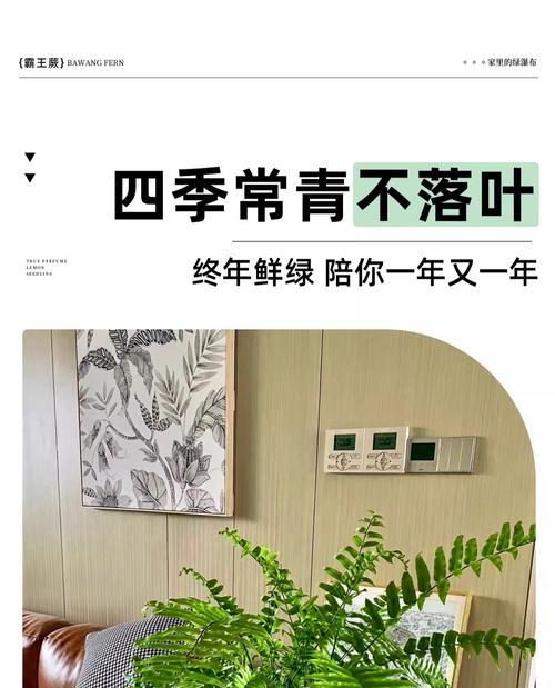 家养蕨类植物养护全攻略（以家养蕨类植物怎么养？）