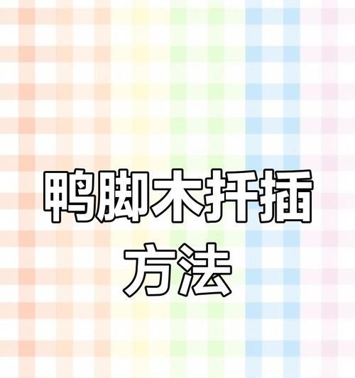 以鹅掌柴扦插繁殖的技巧与方法（轻松培育新的鹅掌柴苗，快速繁殖美丽植物）