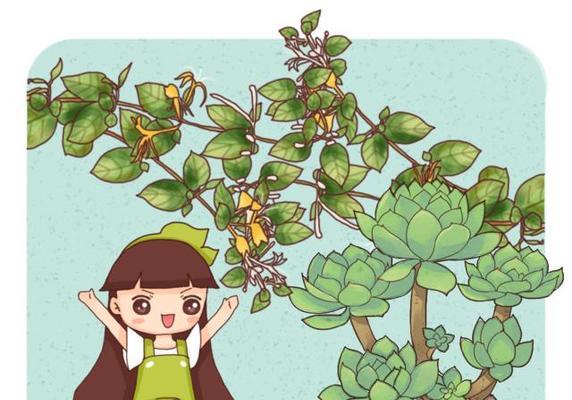 金银木是室内养护好选择吗？（了解金银木是否毒性，如何正确养护？）