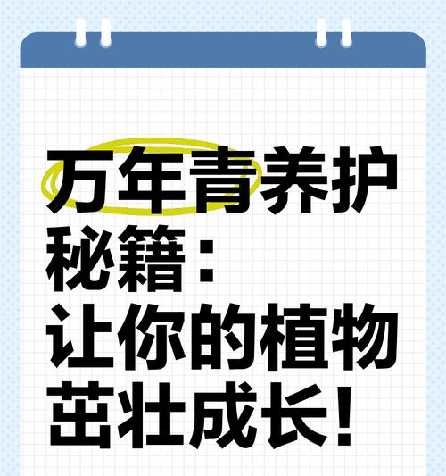 万年青的种植技巧与注意事项（打造绿意盎然的万年青花园，从种植开始）