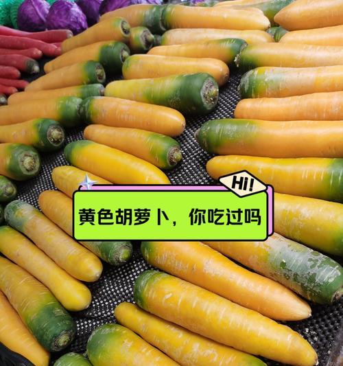 胡萝卜产地之探究（研究胡萝卜的生长环境和产地）