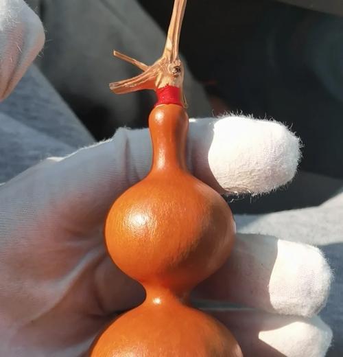 葫芦变黄了会怎么样？（变黄的葫芦与生活的变化）