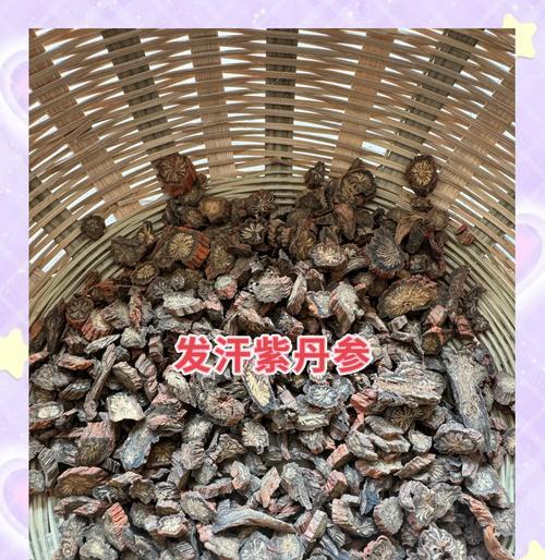 探寻丹参生长周期的奥秘（从种子到成熟，关注丹参生长的每一个环节）