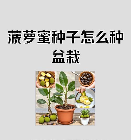菠萝蜜树几年结果实（种植菠萝蜜树需要注意什么？）