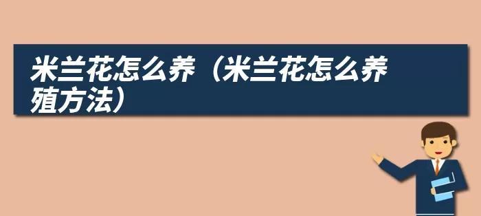 应对米兰烂根的措施（如何修复烂根并重建美丽的米兰）
