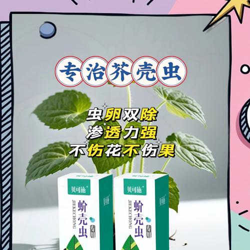 红掌介壳虫的防治方法（保护植物健康，有效应对红掌介壳虫侵害）