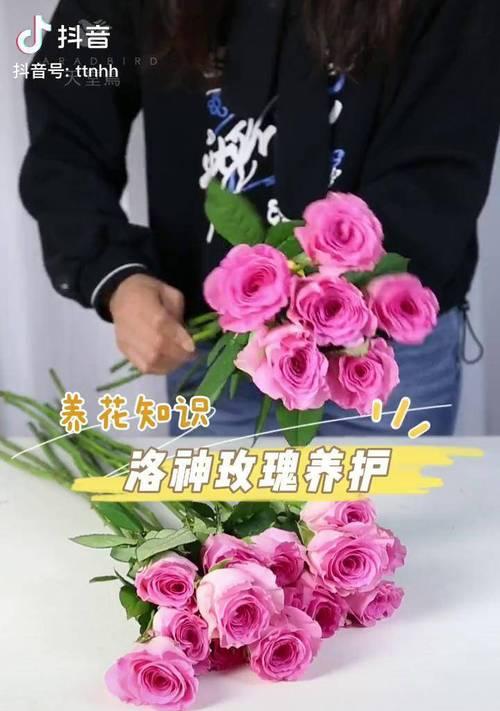 新鲜花的养护技巧，让花束更持久（如何让新鲜花束保鲜更久，技巧大揭秘）