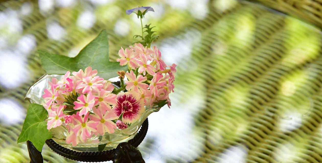 用花语挽回心灵的道歉（以美丽花卉表达最真挚的歉意）
