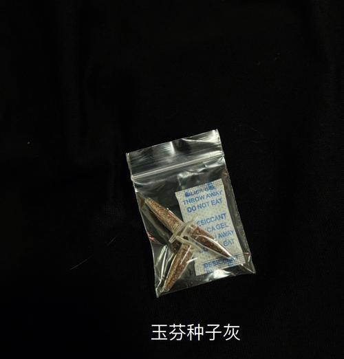 多肉植物自收种子的方法与技巧（打造多肉植物种植的自给自足生态系统）