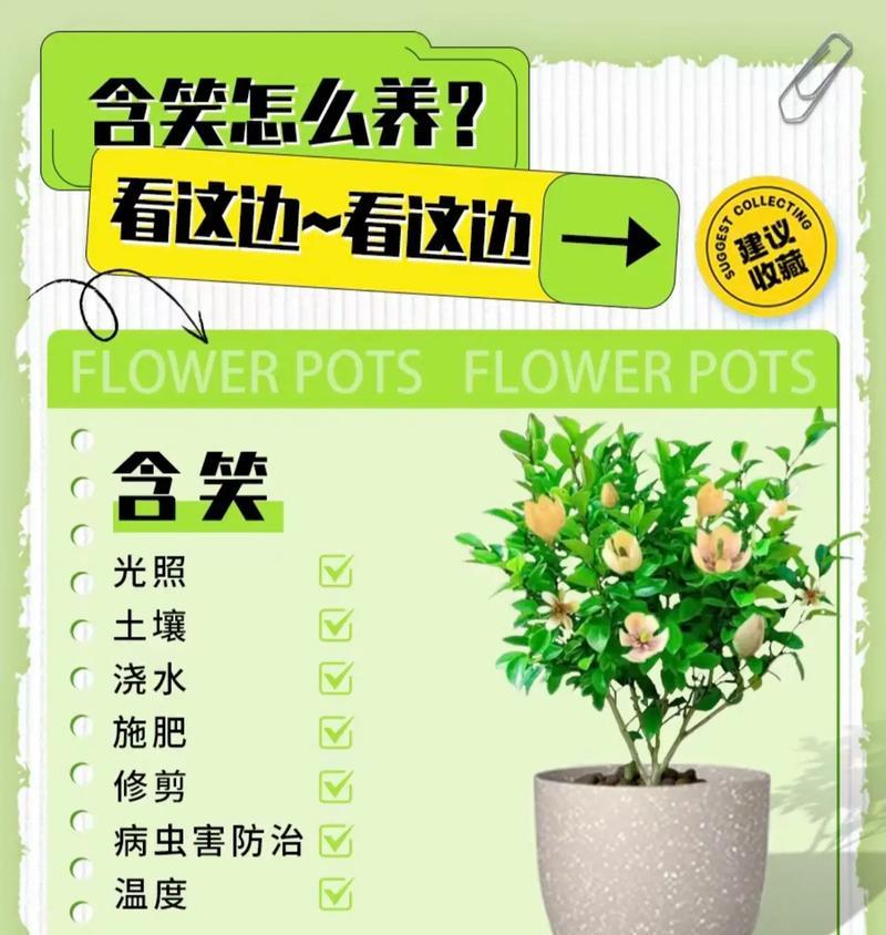 花草的养护与栽培技巧（打造美丽花园的秘籍）